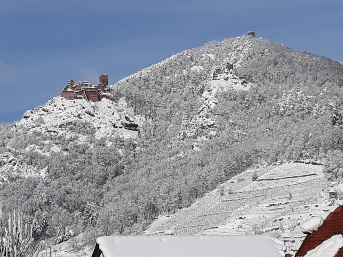 Gite Kientzler Ribeauvillé Buitenkant foto